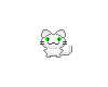 Sugar White Cat