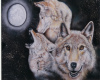 wolves in the moolight 3