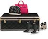 Luxe Luggage Heels  Bags