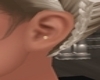 TA Gold Conch stud  L