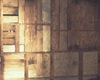 wood wall state of decay