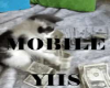 YIIS | Money Cat