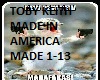 Toby Keith Made America