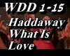 Haddaway- What Is Love