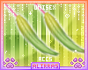 🌸; Pitaya Feathers