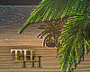___Tropical.Relax___