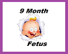9 month fetus