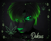 D.: Any Skin Kitsune M