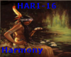 [R]Harmony-NA