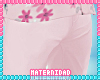 M. Spring Pants 2