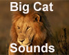 Big Cat Sounds