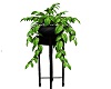 *CS* Plant with stand