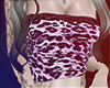 Cheeta V4