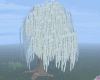 trees flor colgante