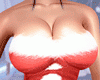 SANTA SEXY  OUTFIT