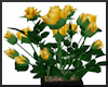 Mellow Yellow Flowers ~
