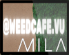 MB: WEED CAFE 2020
