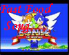 SONIC-THE FASTFOOD SONG