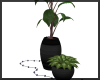 Plant Pots ~