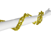 Vy: F/RL Gold Arm Chains