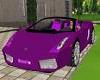 Purple Steel*Tiger  Car