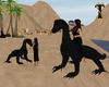 ![T] Black Riding Lizard
