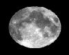 large moon animated