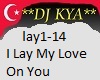 lay1-14