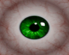 [VGP]F-Emerald Green Eye
