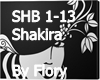 BZRP 53-Shakira