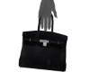 👽 Black Purse -R
