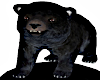 Black Cub Head Pet (M)