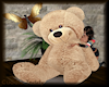 [LM]Cuddle Bear.. Tan