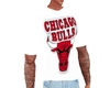 DX Chicago Shirt W