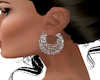 S4E Silver Chains Earrin