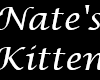 Nate's Kitten