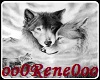 Lovely Wolfs Picture