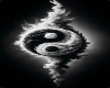 Yin Yang Eyes
