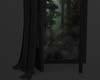 Black Door to the Forest
