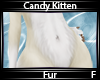 C. Kitten Fur F