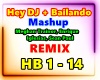 Hey DJ Bailando- Mashup
