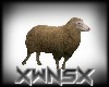Sheep Ani