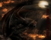 ~Z~ Teal 10 demonic wing