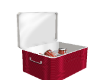 Ice Chest Cooler (KL)