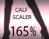 Calf & Shoe Scaler 165%