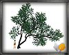 (ED1)Summer-tree-1