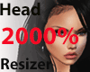 HEAD 2000%