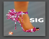 [SIG]Pink shoe