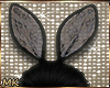 MK Lace Black Bunny Ears