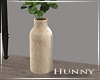 H. Indoor Vase Plant